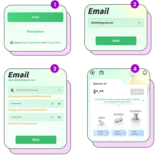 Metwallet Signup
                        Process